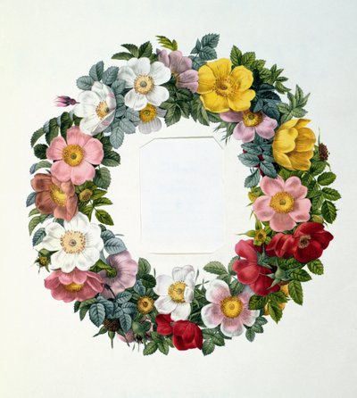Wreath of Roses, Frontispiece for 